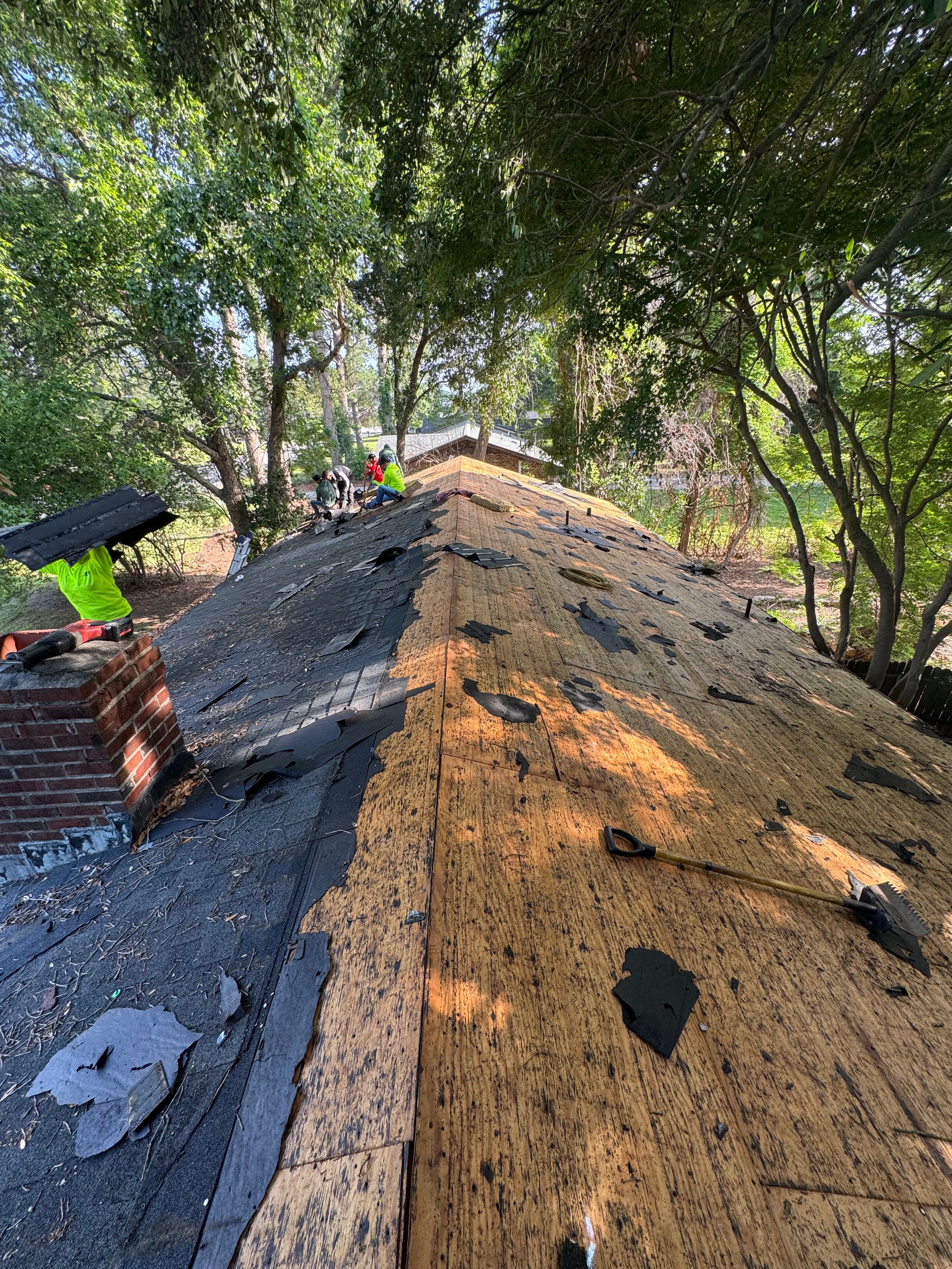 Project Full Roof Replacement Done Right - Tear-Off to Final Shingle image
