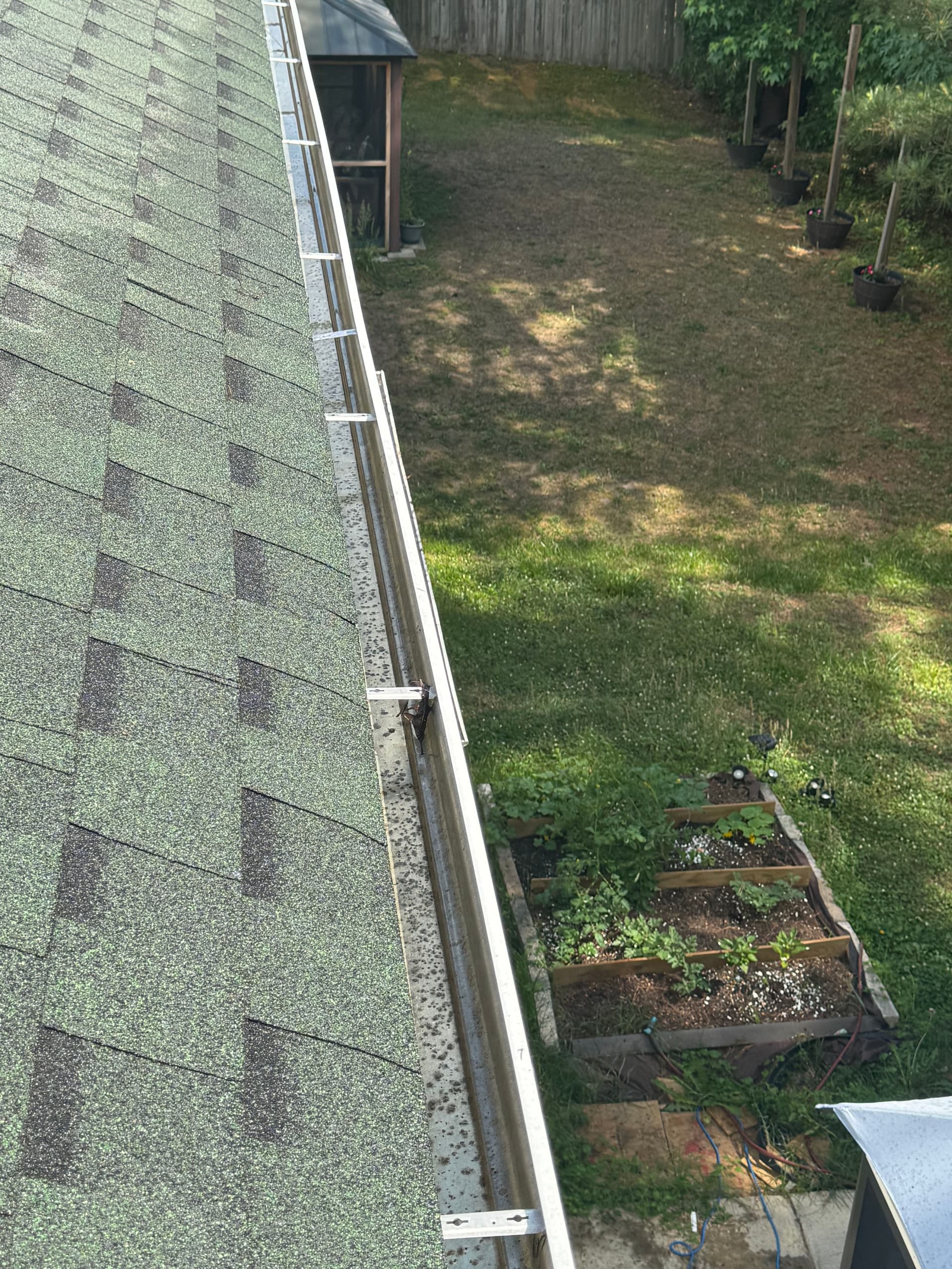 Gallery photos for Clogged Gutters Are a Bigger Problem Than You Think: Image #4